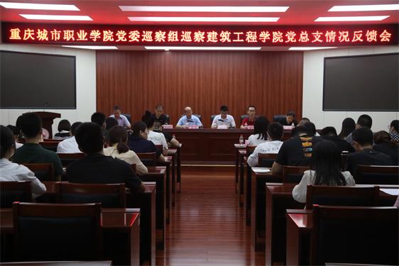 巡察反馈.JPG 巡察反馈.JPG